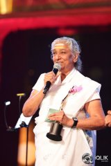 South Indian International Movie Awards 2016